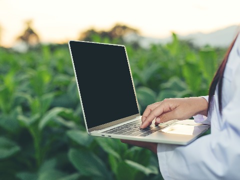 Delivery of Decisions on Assessed Obligations for Farmers for the Year 2025